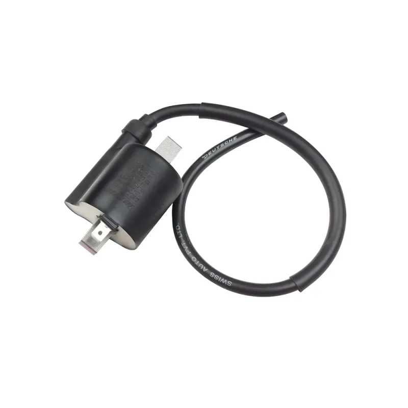 Coil Assy (CDI) Ignition