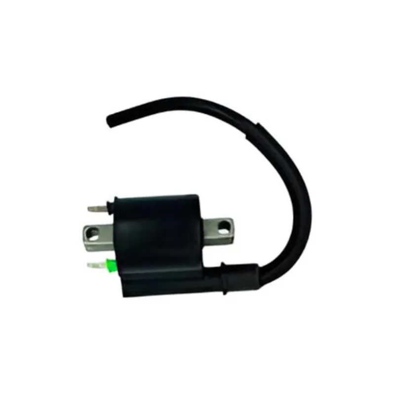 Coil Assembly Ignition / ACTIV