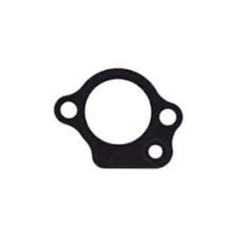 Gasket Tensioner Case