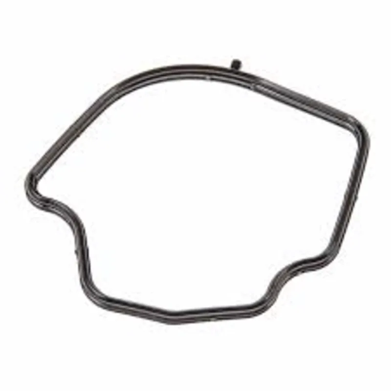 Gasket Head Cover / RAY
