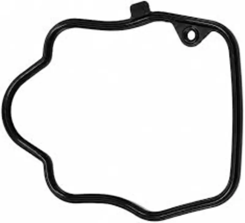 Gasket Head Cover 1 / BS4