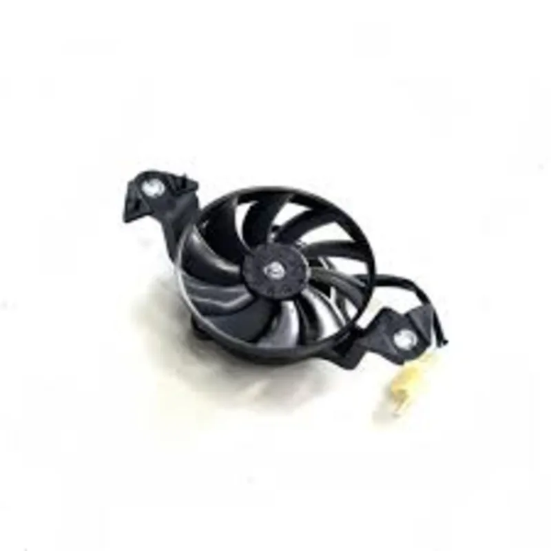 Fan