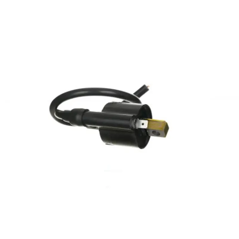 Ignition Coil Assembly